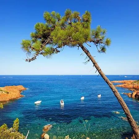 Au Petit Bonheur Parking Gratuit *