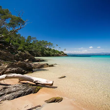 Apartment Au Petit Bonheur Parking Gratuit *