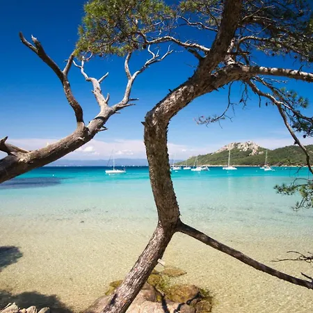 Au Petit Bonheur Parking Gratuit Cavalaire-sur-Mer