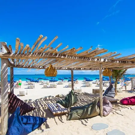 Au Petit Bonheur Parking Gratuit *